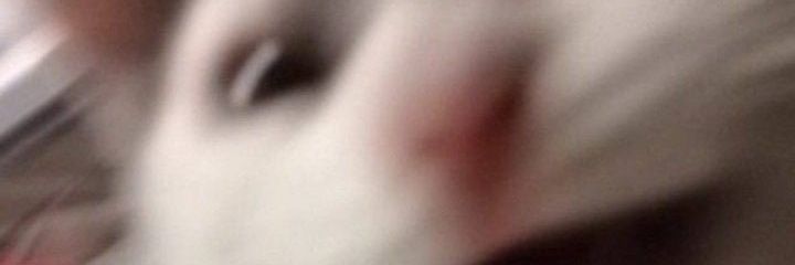 itszachagain's profile banner image