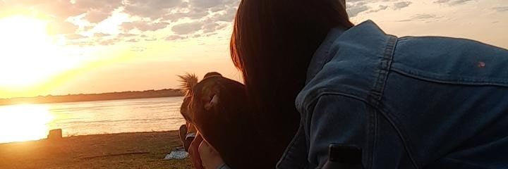 LuliMarder's profile banner image