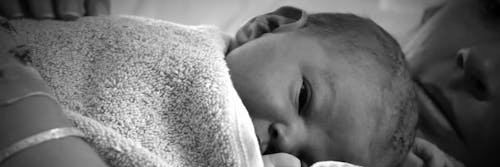 CLE Right to Life banner