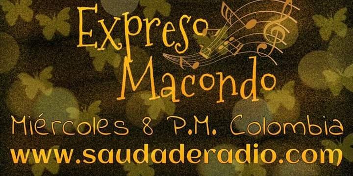 MalevaSaudade's profile banner image