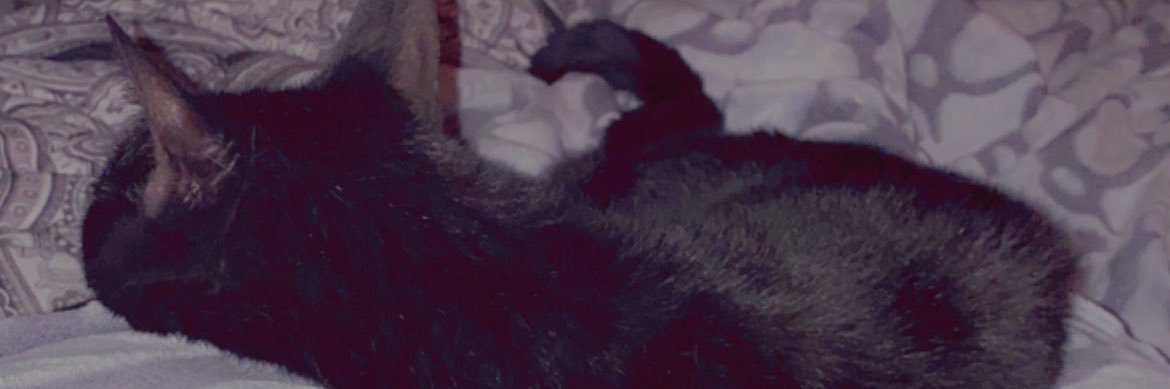 SSukosky's profile banner image