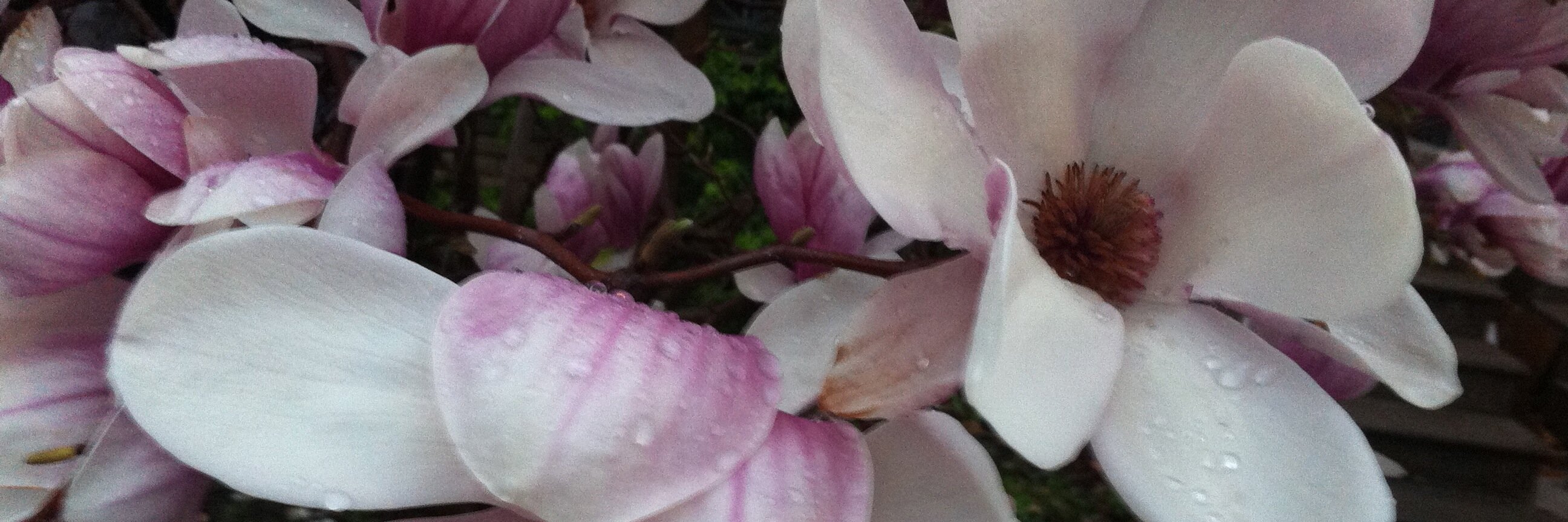 TOKatharine's profile banner image
