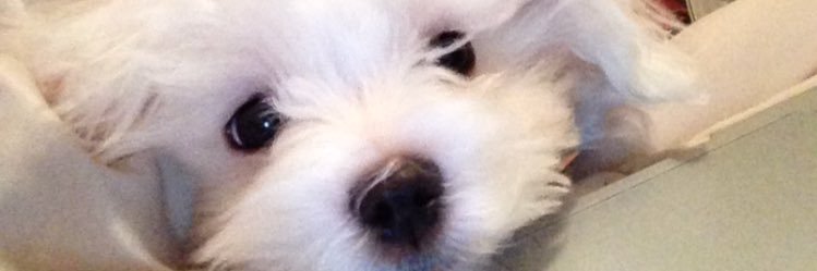 ksoulier96's profile banner image