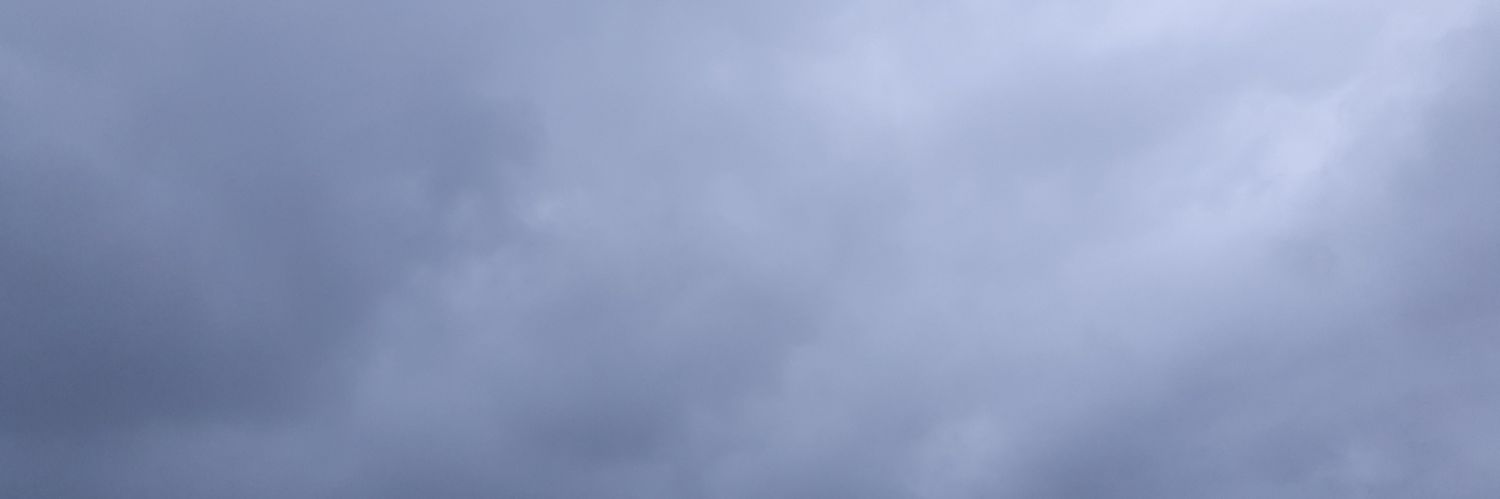 Cassandra Pronouns banner