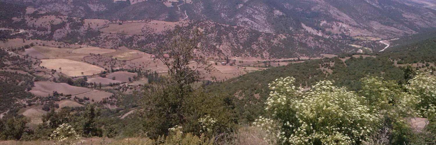 Stkakbas's profile banner image
