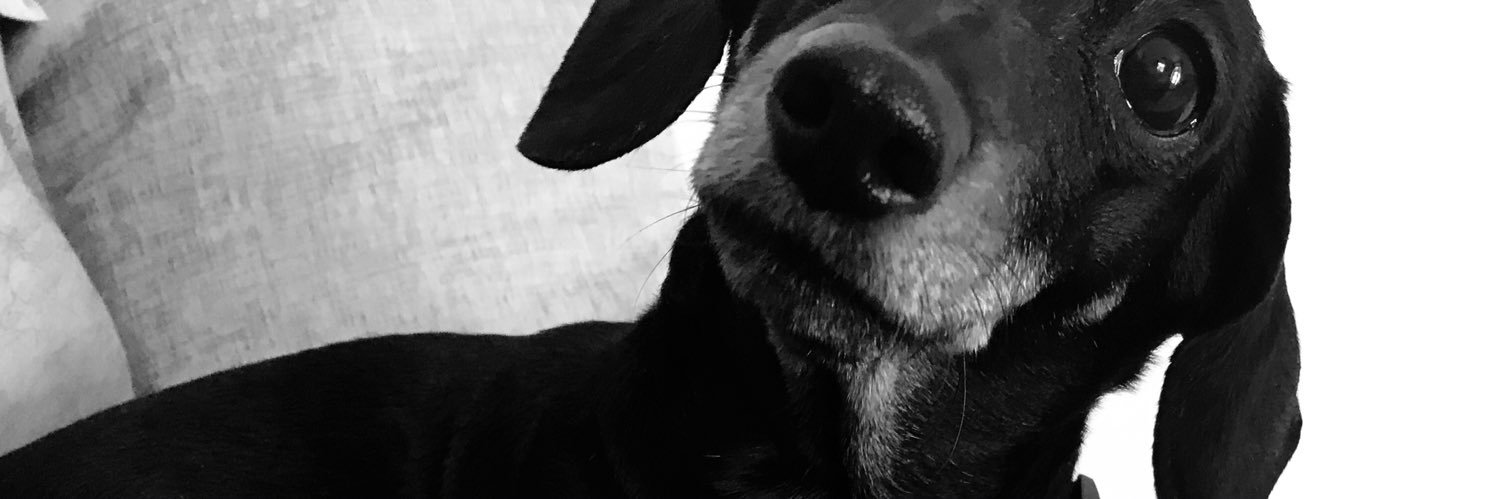 roobla's profile banner image