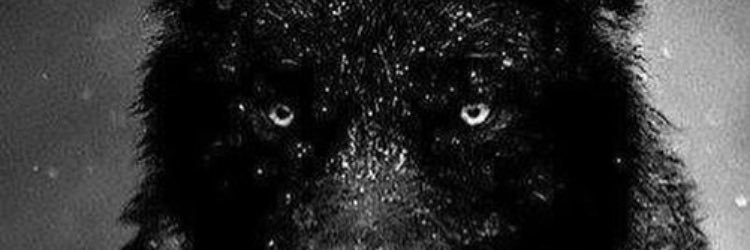j_Re3f's profile banner image