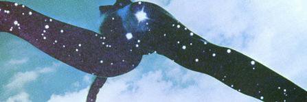 aru-rodgers banner