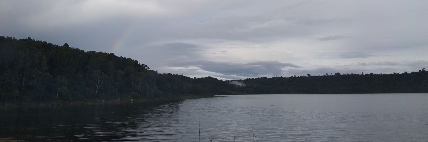 gtf_cnft's profile banner image