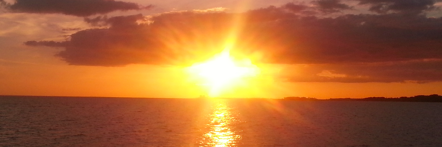 Grandmastér Trû banner