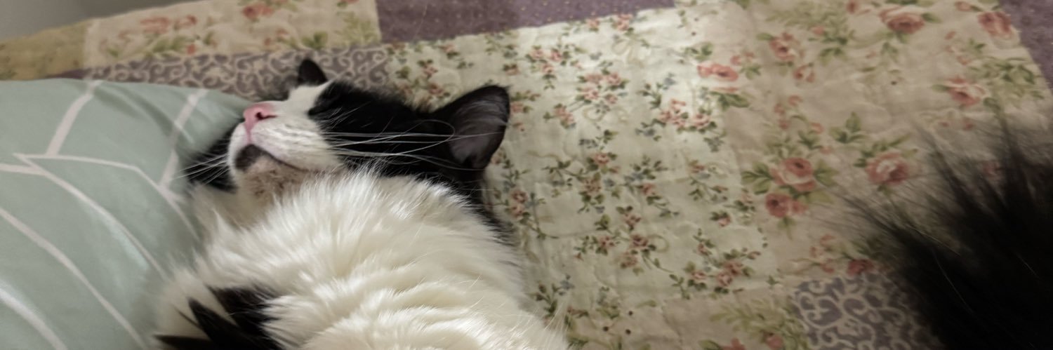 SofiFinchel's profile banner image