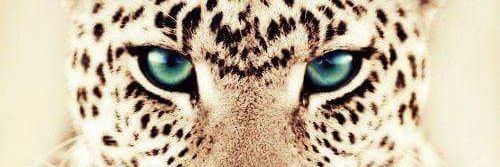 xGabrielleweel's profile banner image