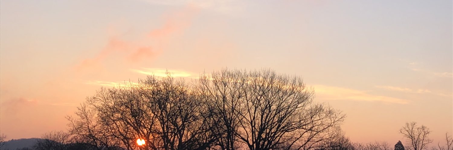 Ilanavantricht's profile banner image