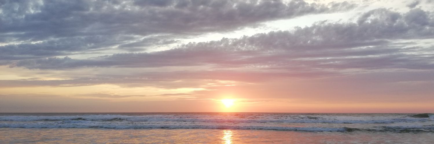 rachel_zerbo's profile banner image