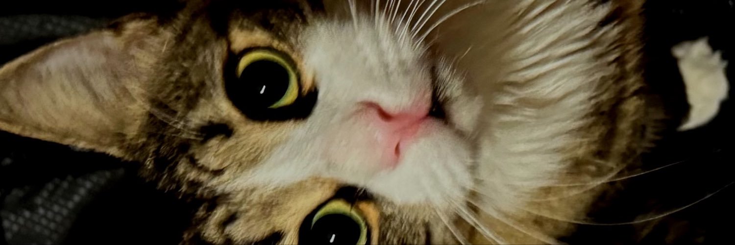 pskedakilic's profile banner image