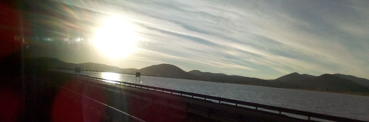 BirdLarry91's profile banner image