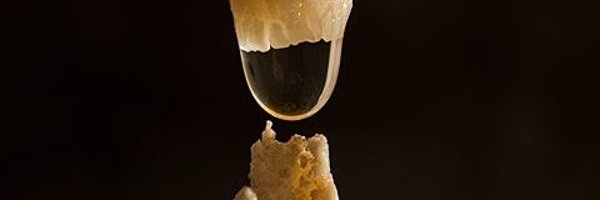 CavernsNPS Profile Banner