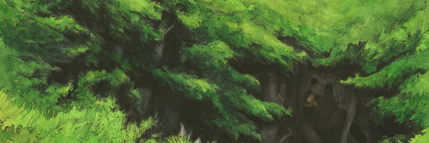 JRocheWorkshop's profile banner image