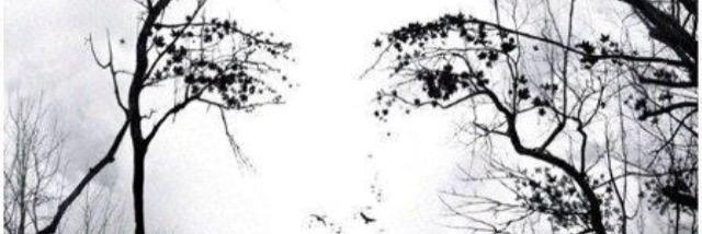 _yazzy13's profile banner image