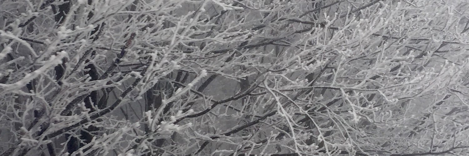 mansoor_MT's profile banner image