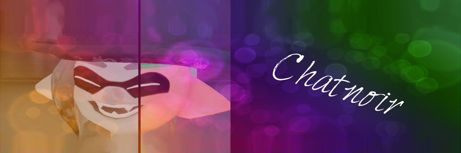 00chat_noir00's profile banner image