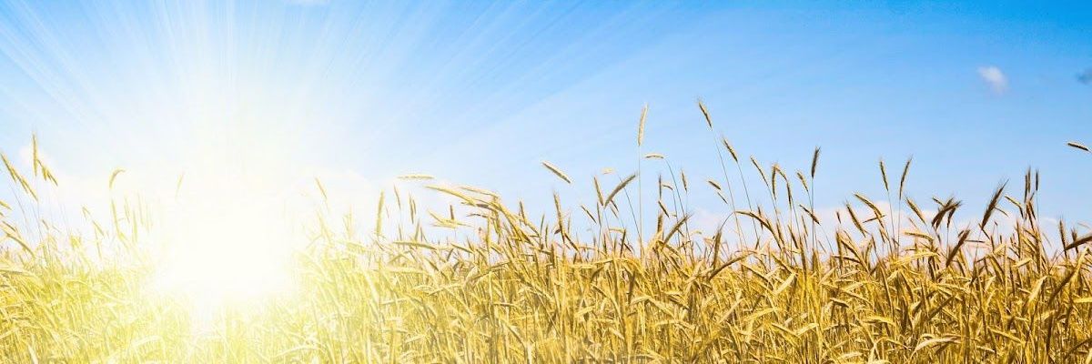 Vincent_w's profile banner image