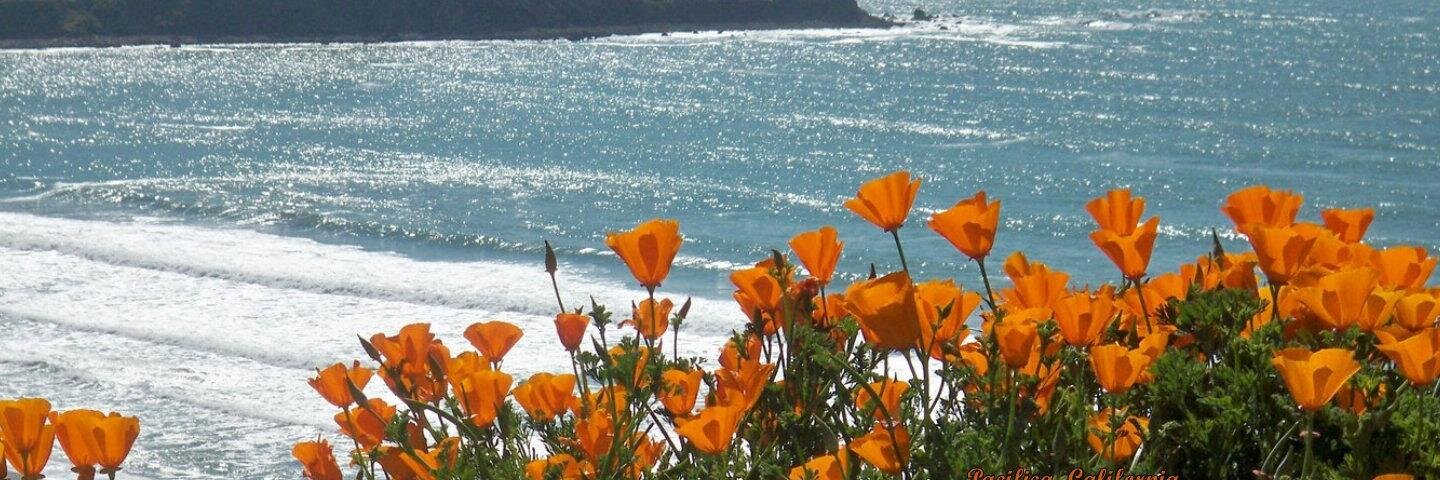 MaxineElizabeth1 banner