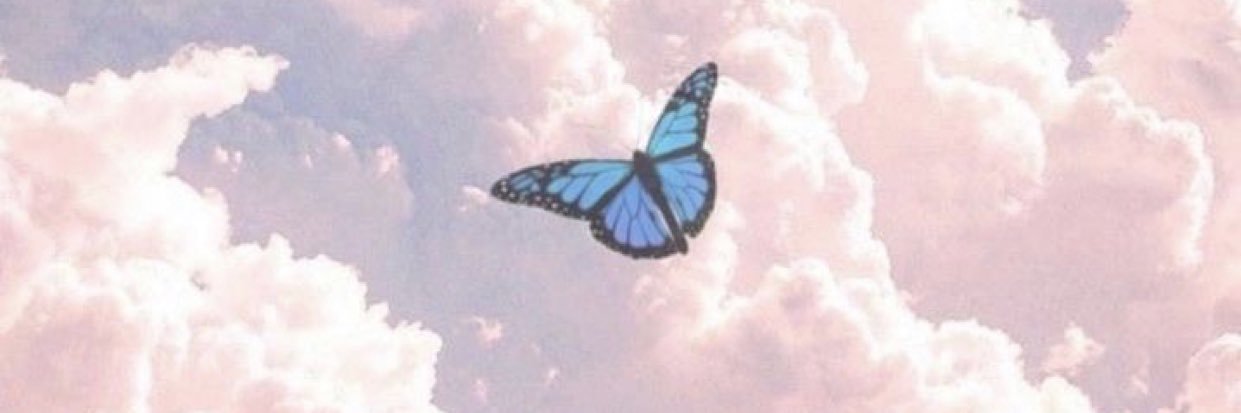 abby_fitts's profile banner image