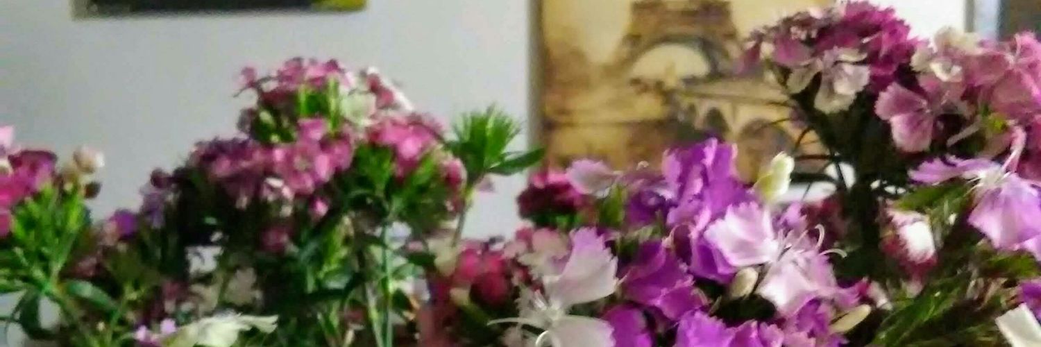 Gyna11's profile banner image