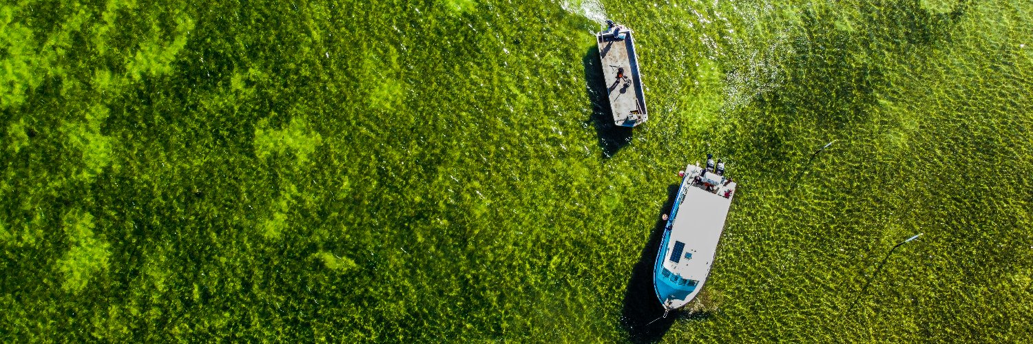 UniSC: University of the Sunshine Coast banner