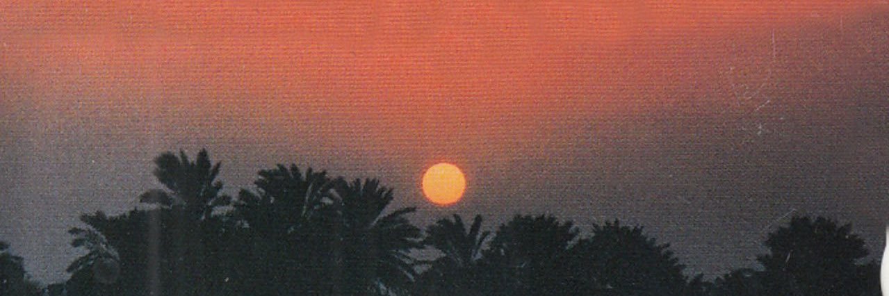 ques_o's profile banner image