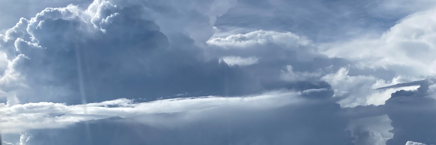 marifaes's profile banner image
