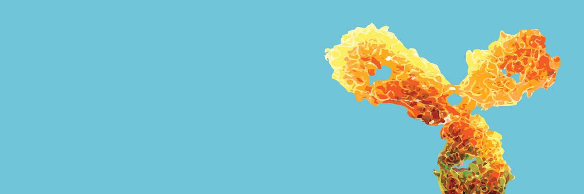 Konrad Krawczyk banner