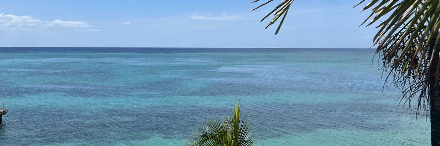 bellezza_blu's profile banner image