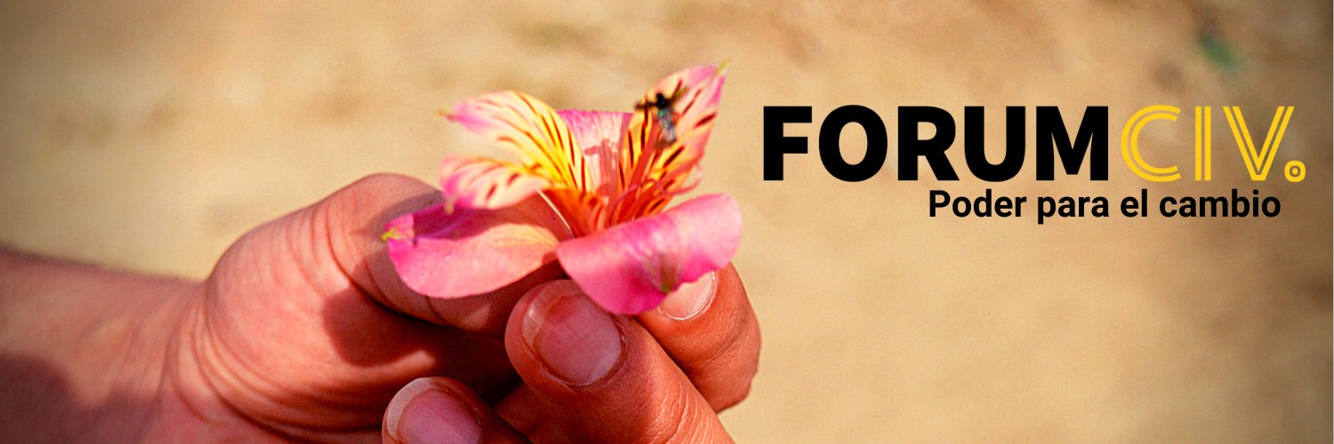 ForumCivLAC's profile banner image