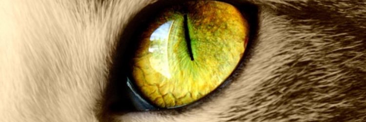 MrAndrewRandall's profile banner image