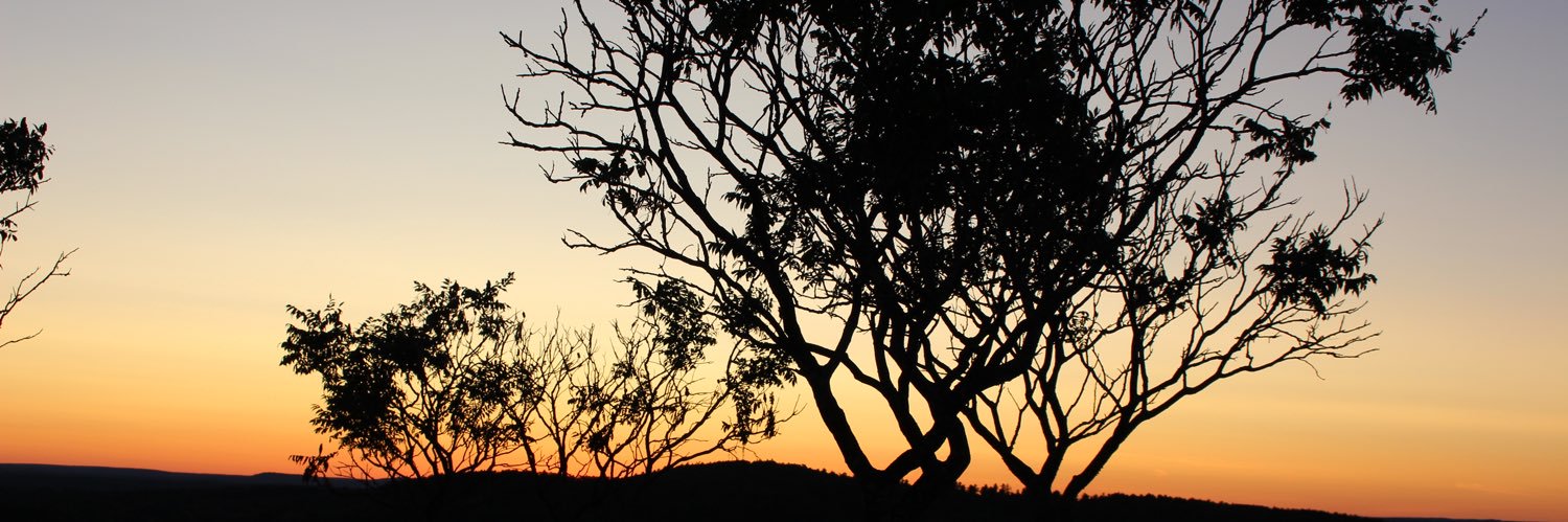 okler_ross's profile banner image