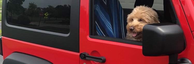 EricBehrman's profile banner image
