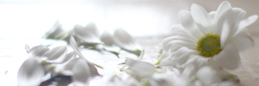 PirjoP1's profile banner image