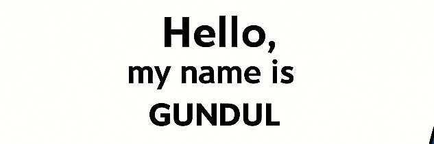 guunduul banner