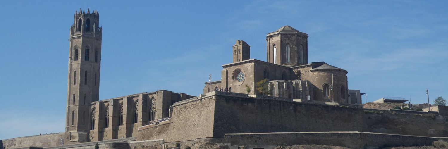 MerMerisanfeliu's profile banner image