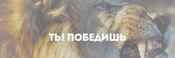 BkGerasimov's profile banner image