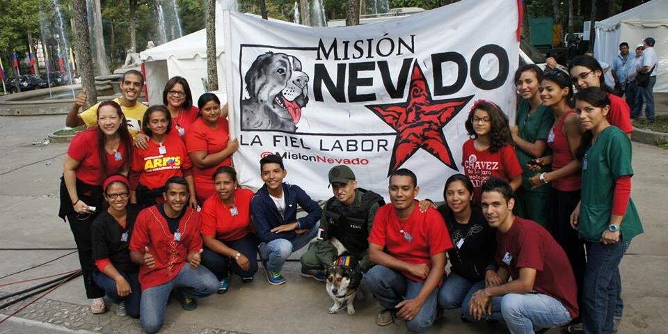 NevadoZulia's profile banner image