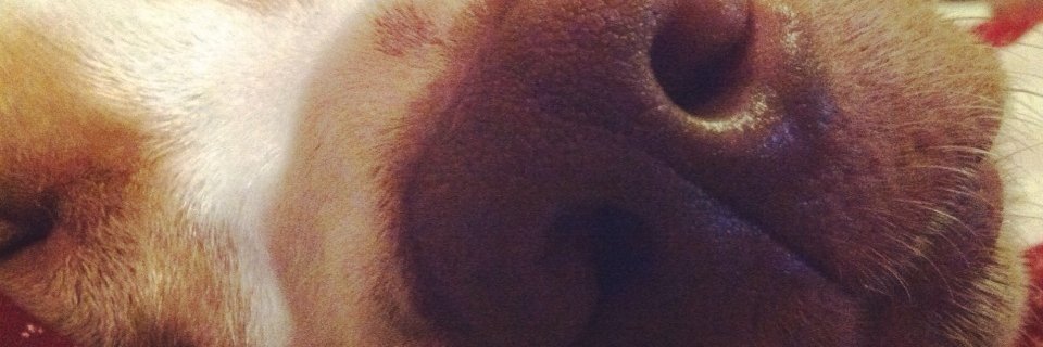 Ally__Boyle's profile banner image