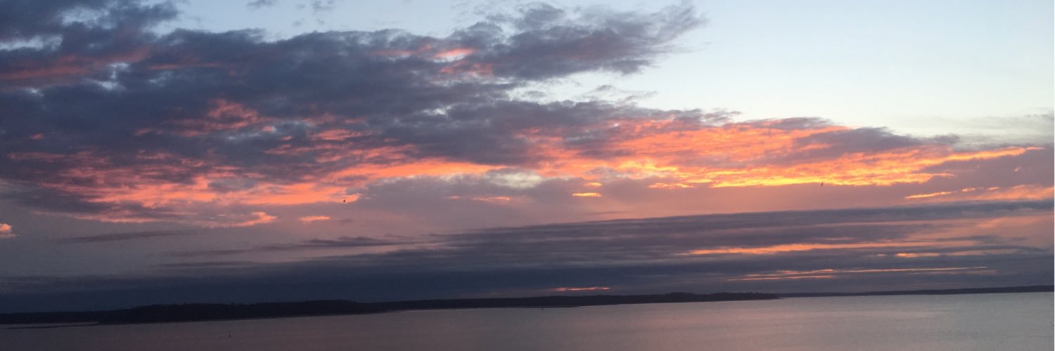mallorypageb's profile banner image