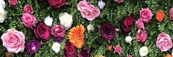 Raychacho Profile Banner