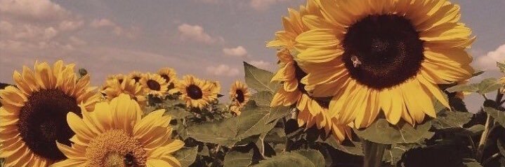 fadlinamir's profile banner image