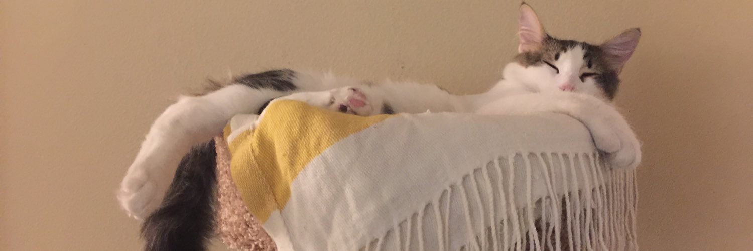 highimmaddie's profile banner image