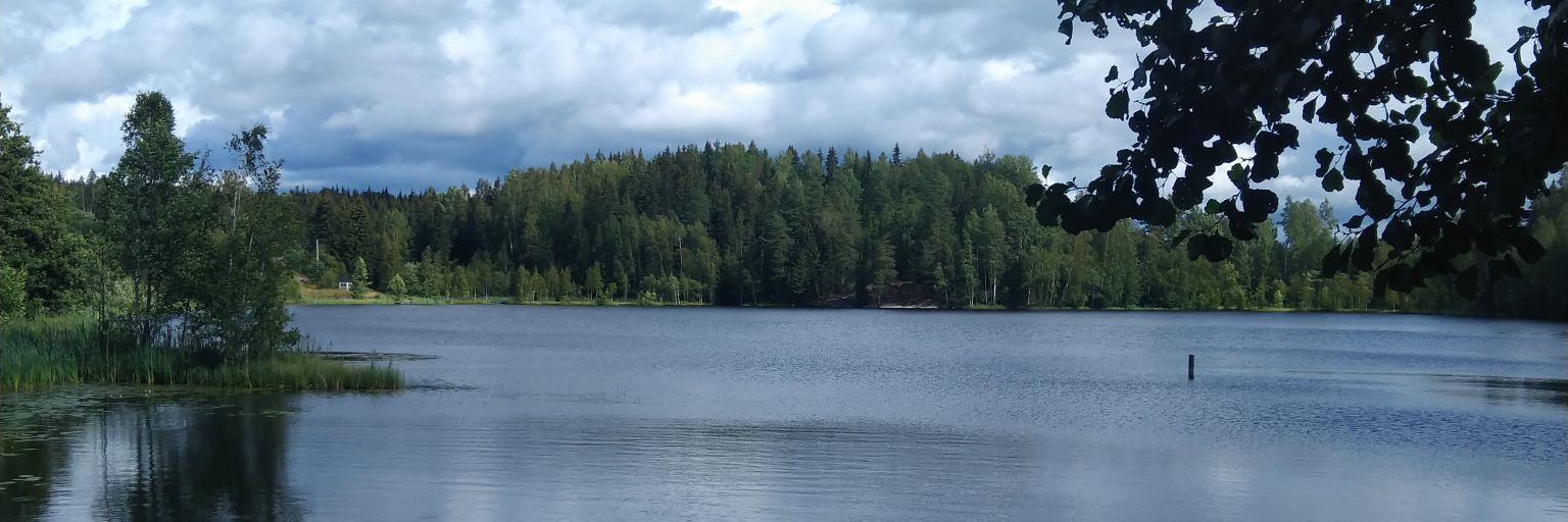 Valture banner