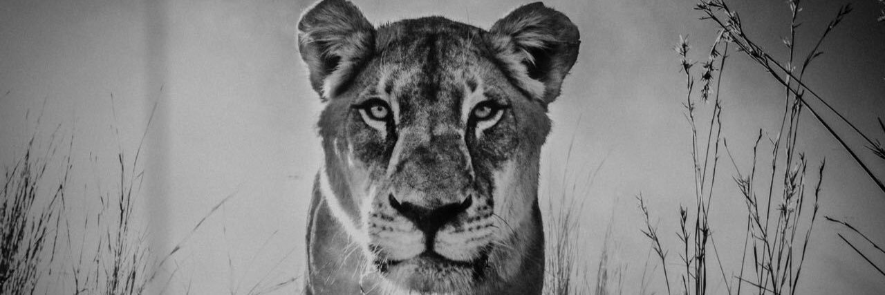 kalarit's profile banner image